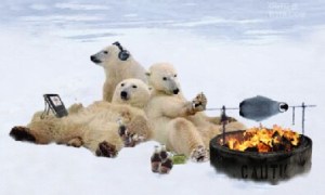 polar BBQ